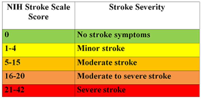 NIH stroke scale and NIH stroke scale score