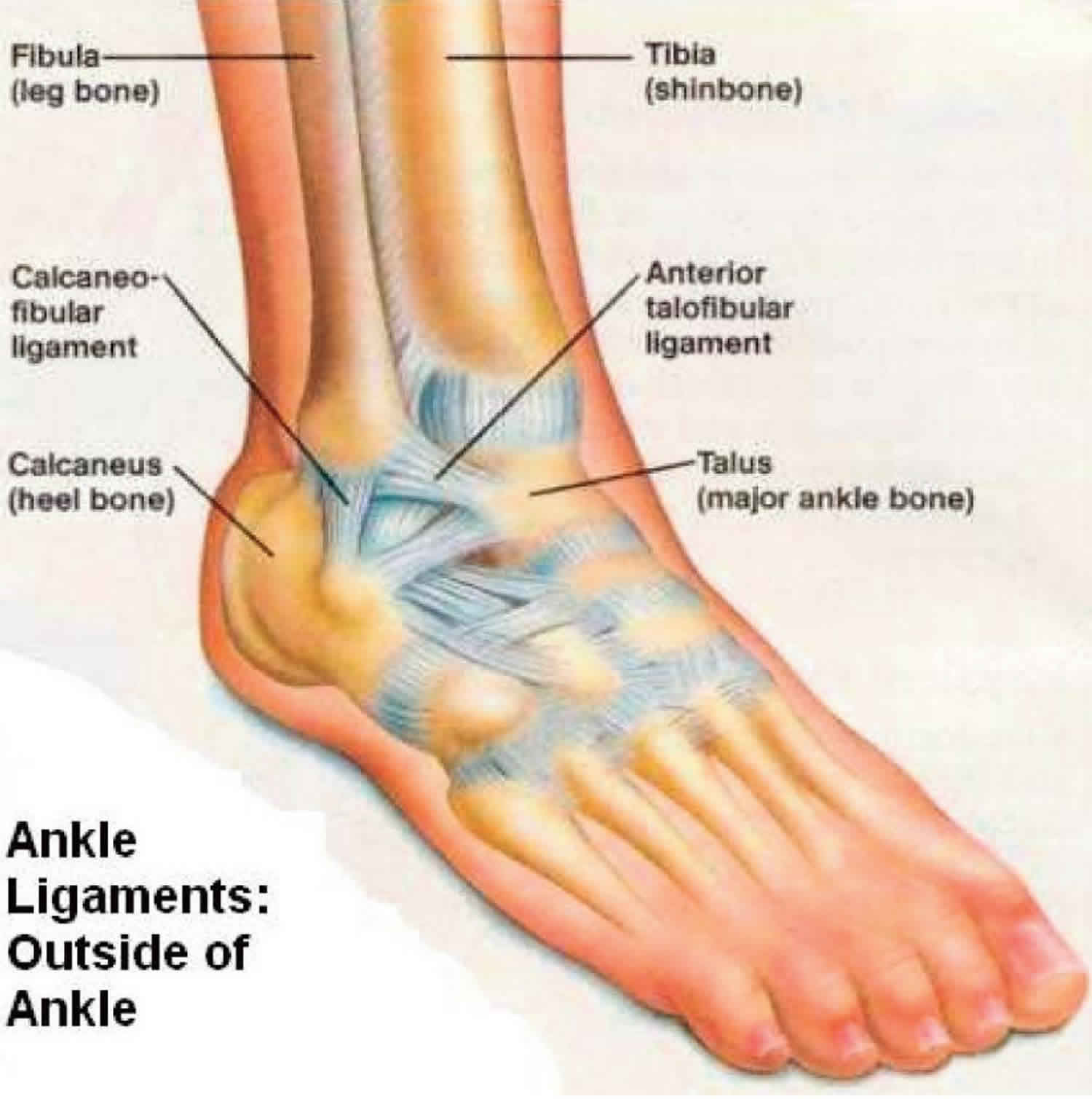 How do I know if I tore a ligament in my foot?
