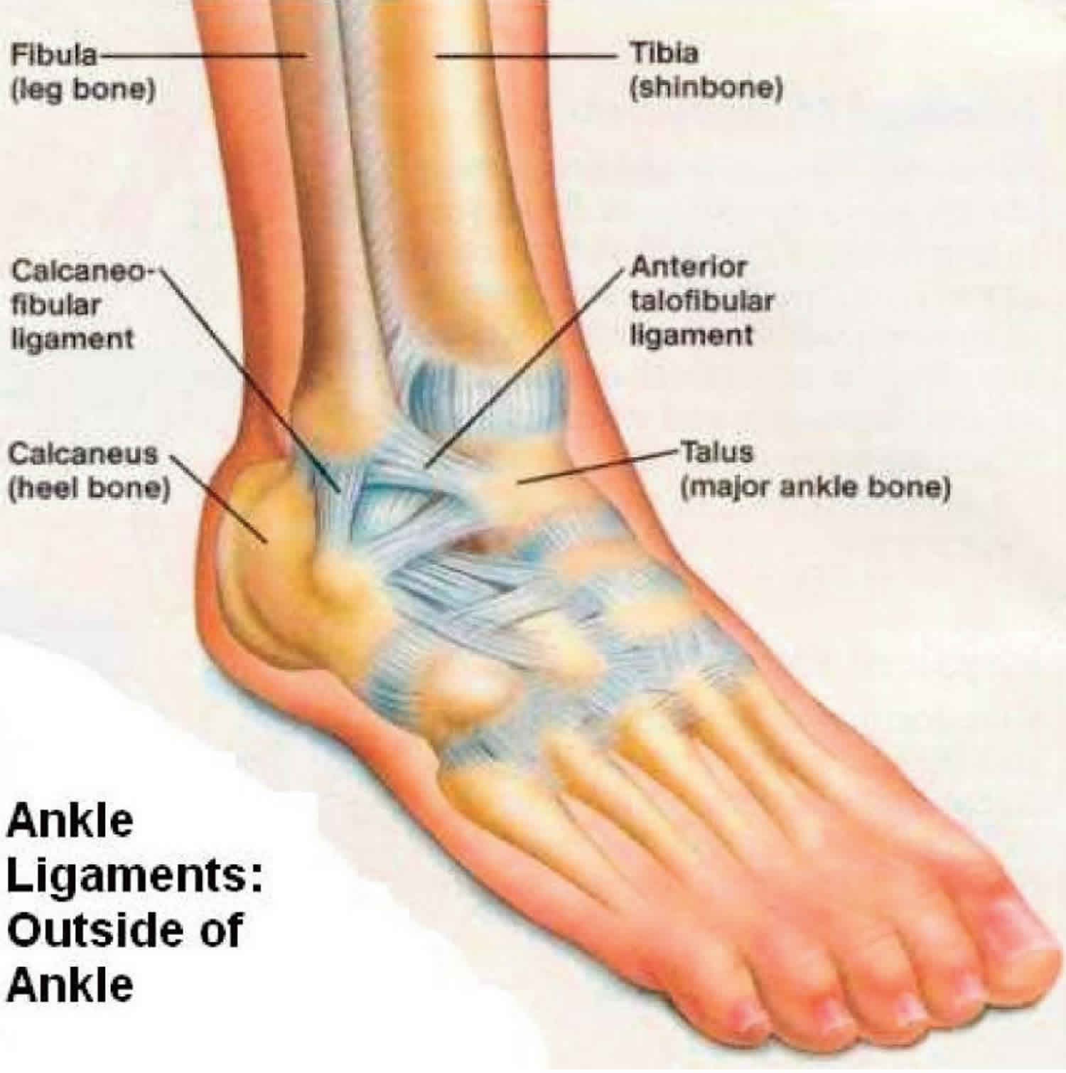 Anterior talofibular ligament tear & sprain, causes, symptoms