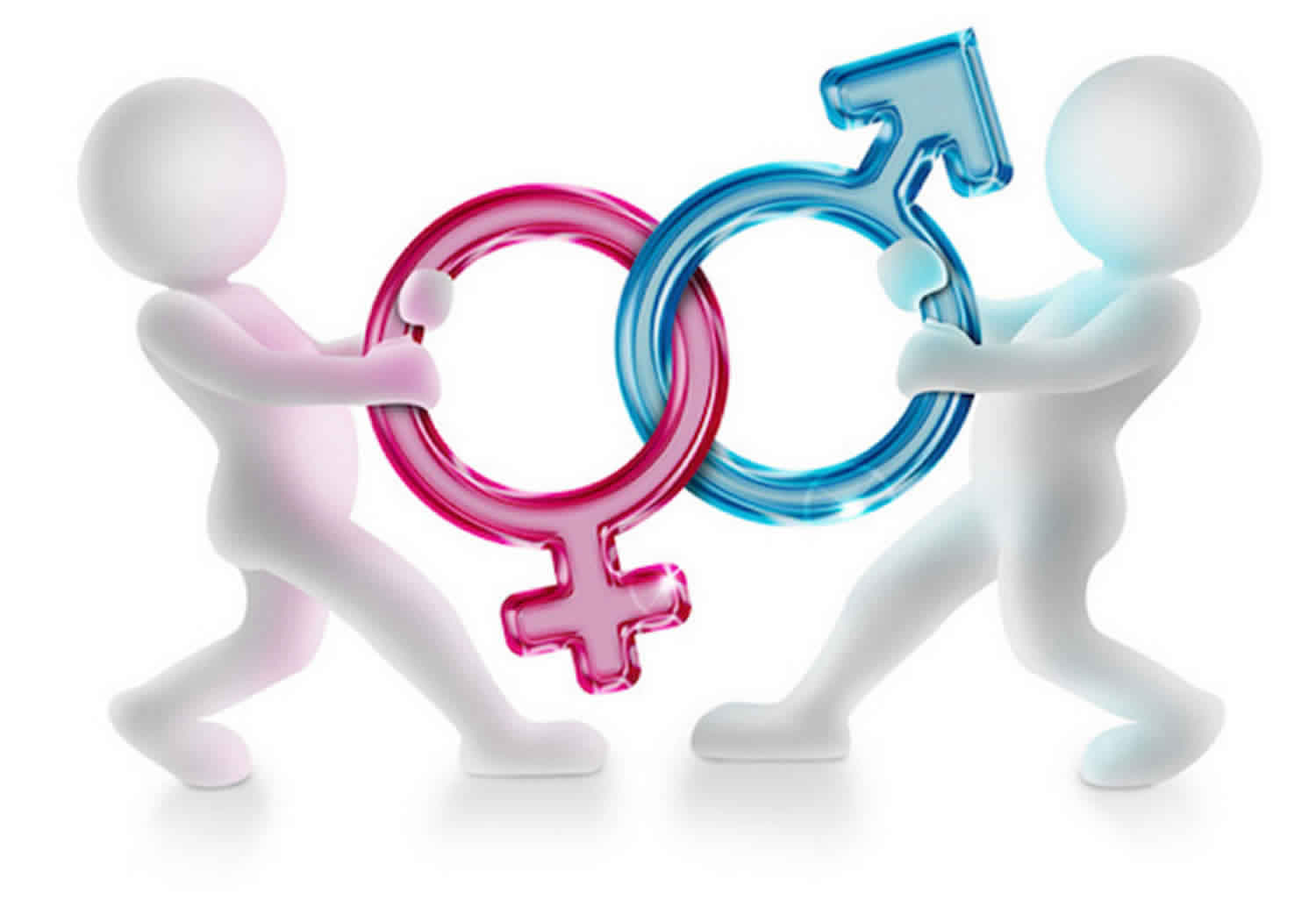 What Are The Biological Causes Of Gender Dysphoria