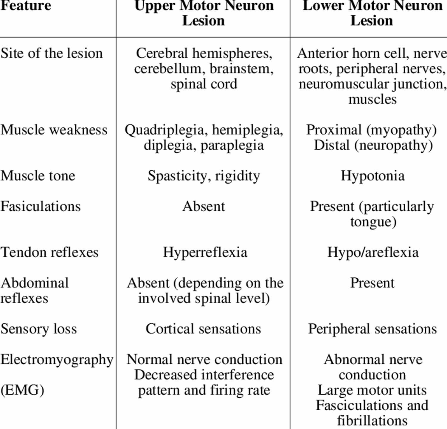 ppt-diagnosis-of-motor-neuron-disease-powerpoint-presentation-free