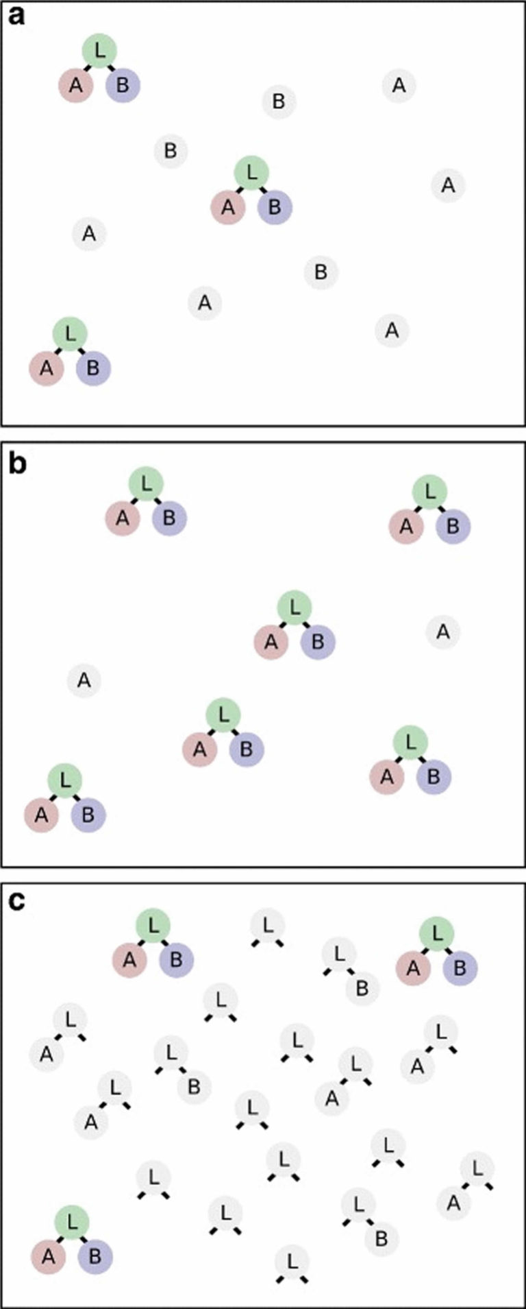 hook-effect-hook-effect-immunoassay