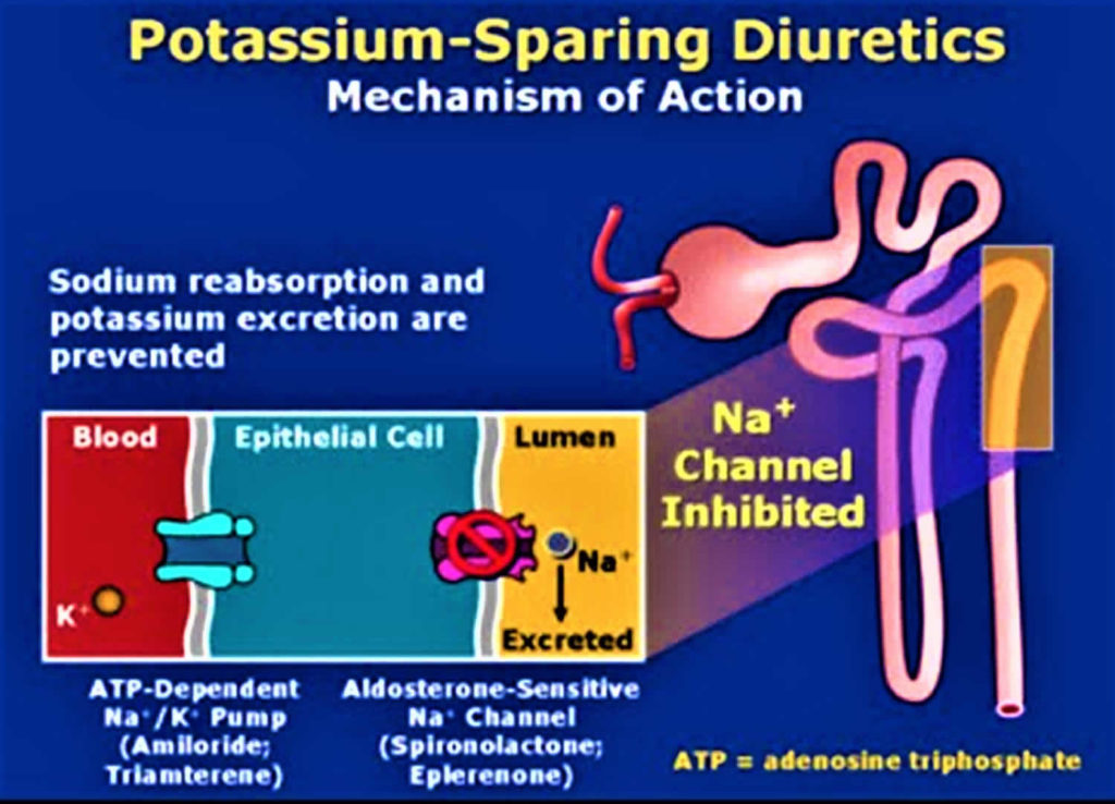 Potassium sparing diuretics drugs list, mechanism of action & side effects