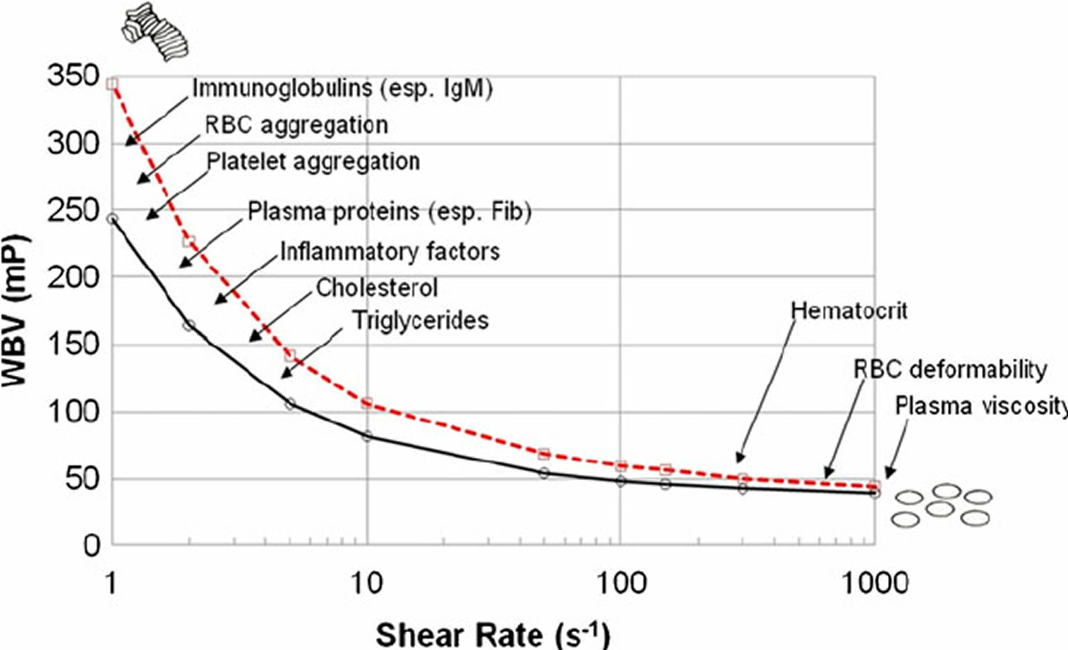 Blood Viscosity