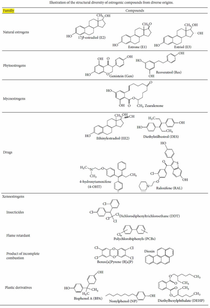 Xenoestrogens, xenoestrogens sources, xenoestrogens mechanism of action