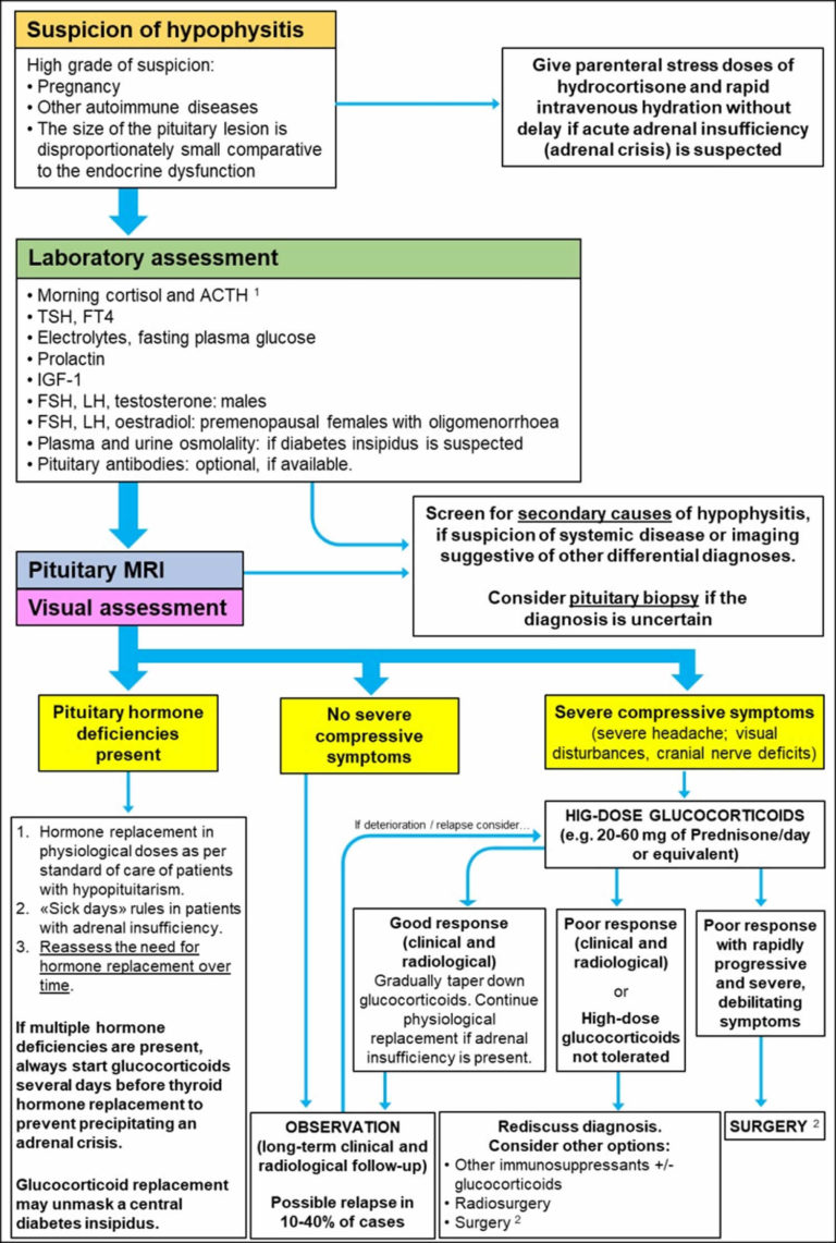 Hypophysitis causes, symptoms, diagnosis & treatment