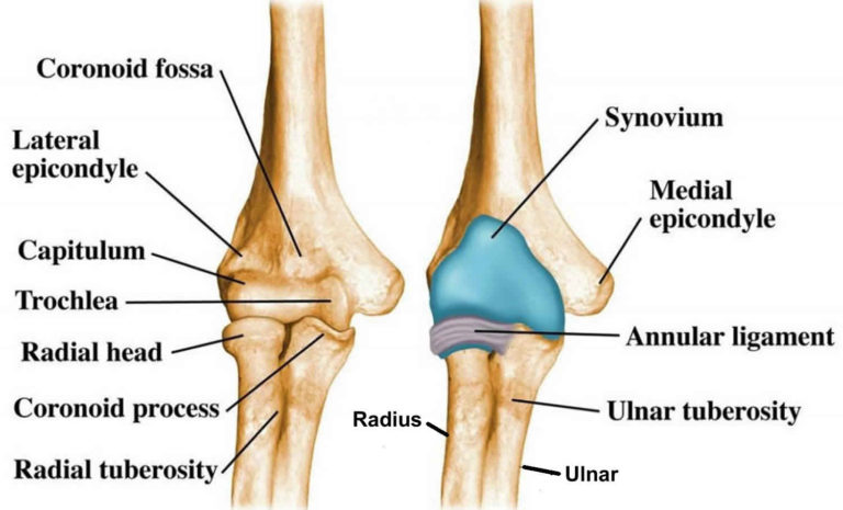 pulled-elbow-nursemaid-elbow-causes-symptoms-diagnosis-treatment