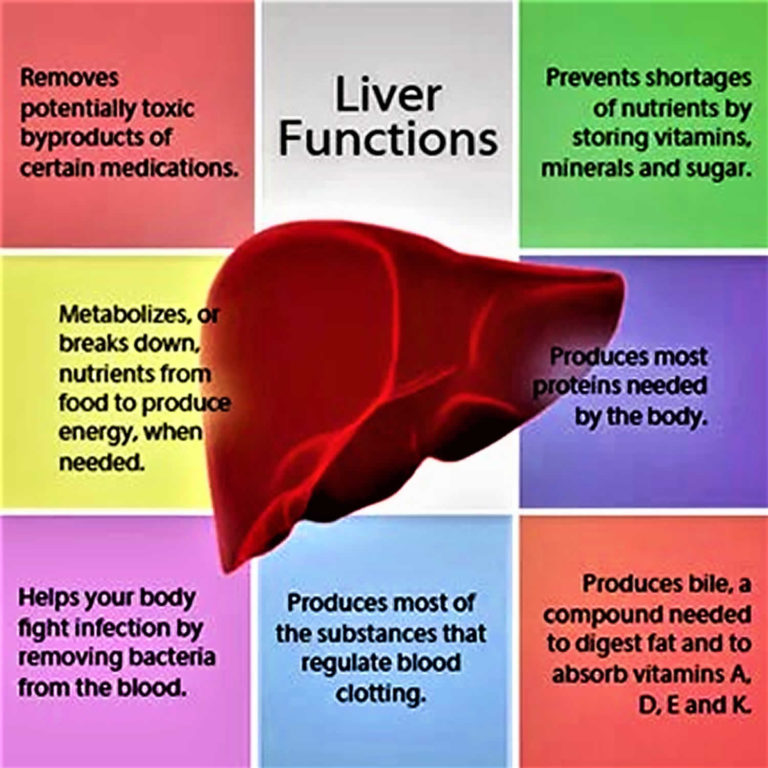 ribociclib liver toxicity ribociclib liver toxicity