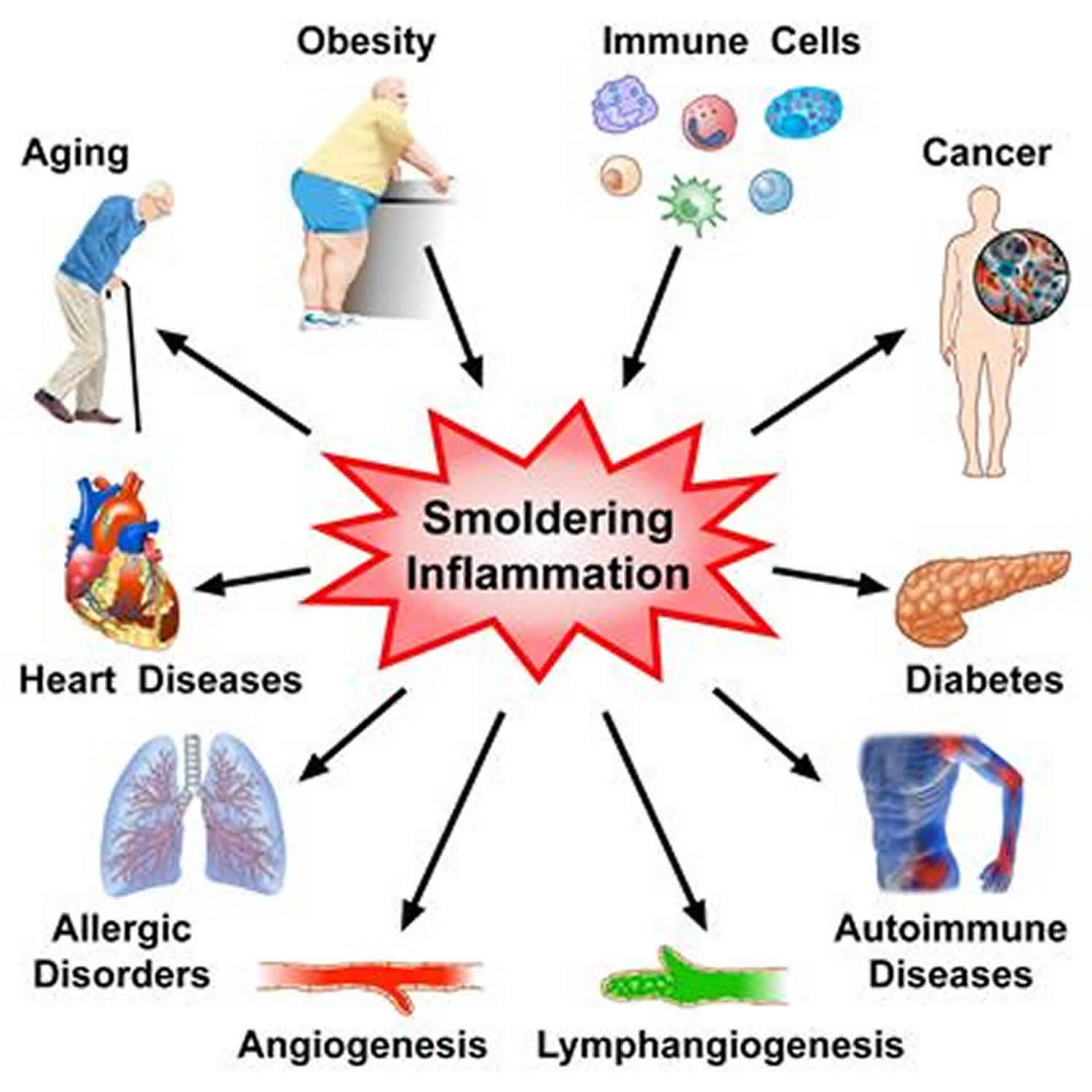 systemic-inflammation-definition-causes-symptoms-treatment