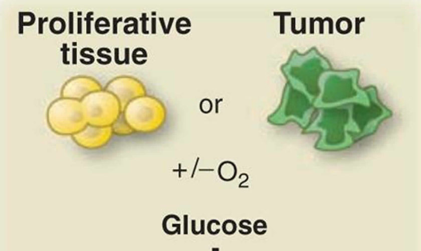Articles Page 145 of 542 Health Jade