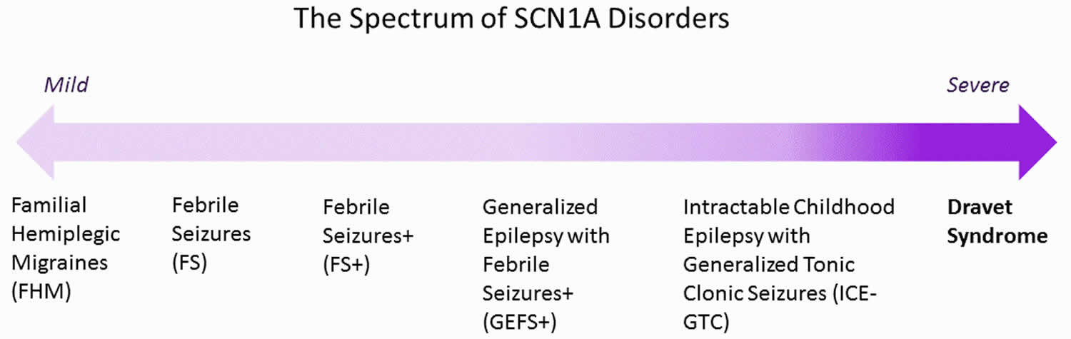 Spectre перевод. Dravet Syndrome. Scn1a Gene. SCN 001. Scn1a мутация.