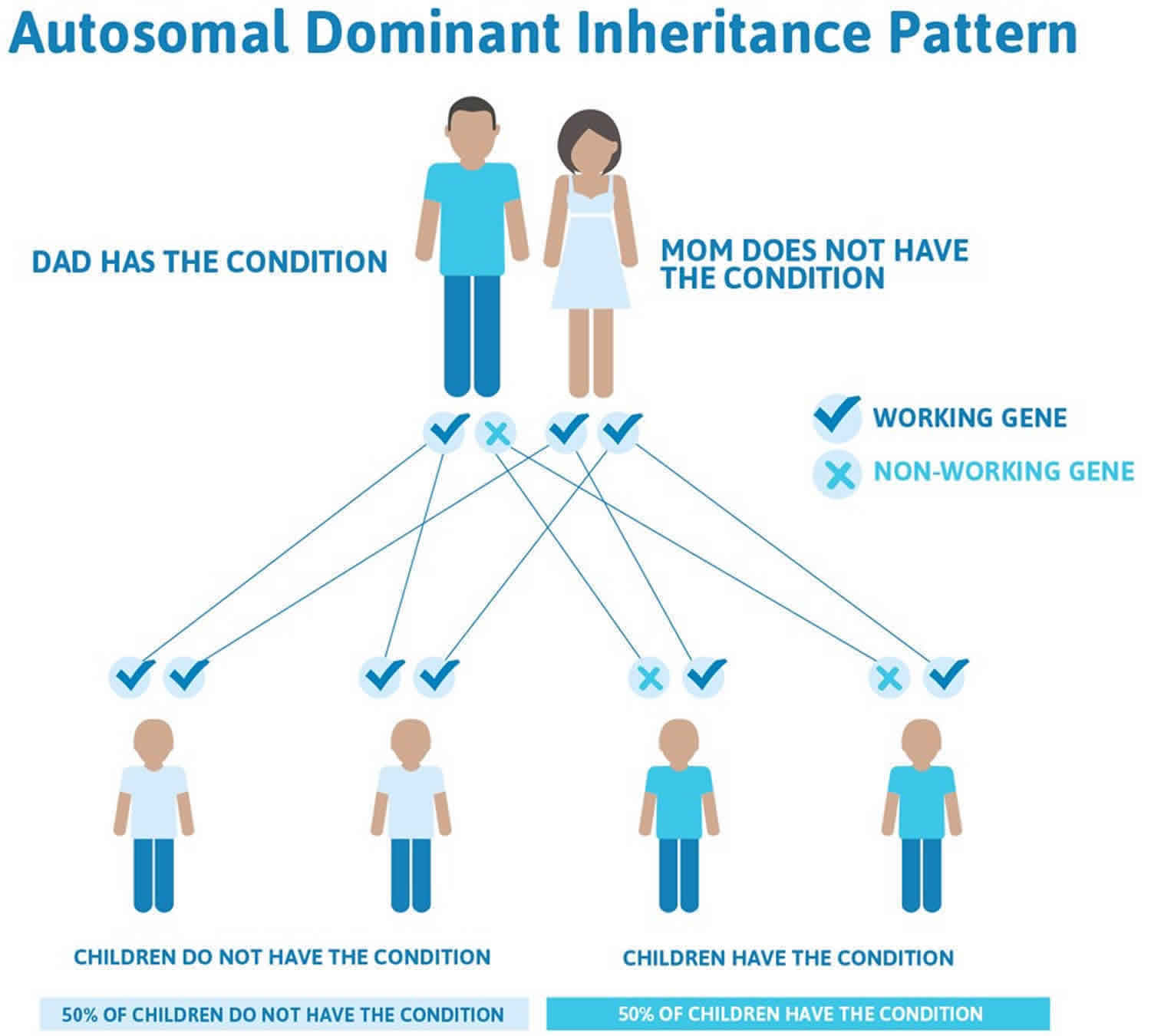 Liddle syndrome causes, symptoms, diagnosis, treatment & prognosis