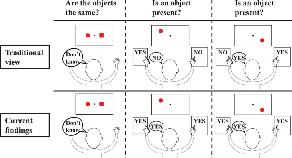 split brain syndrome experiment