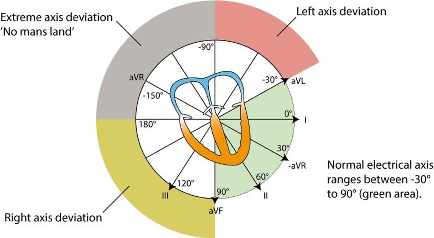 Range between. Electrical Axis of the Heart. Axis deviation ECG. ЭКГ slight left Axis deviation. QRS Axis.