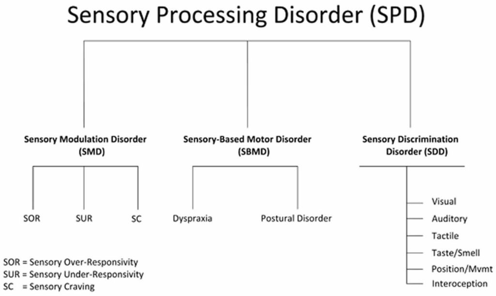 Sensory processing disorder causes, symptoms, diagnosis & treatment