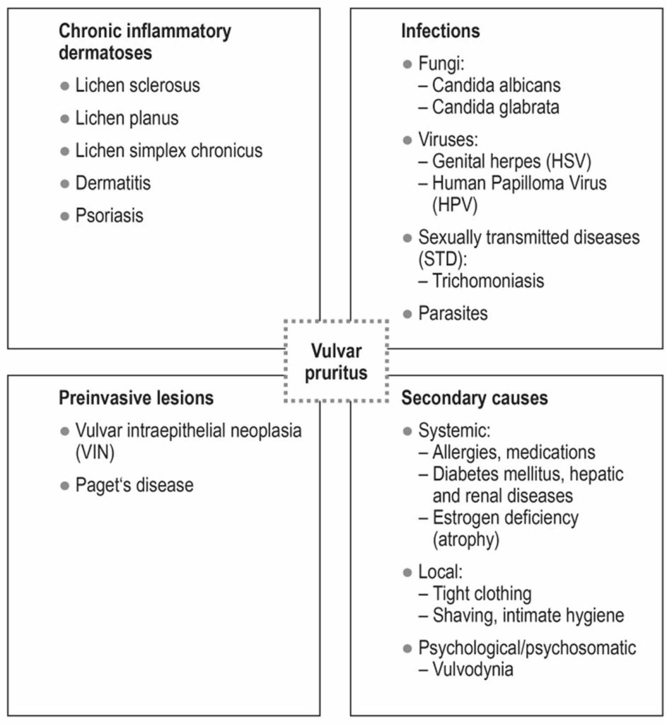 Vulvar itching causes, signs, symptoms, diagnosis, treatment & prognosis