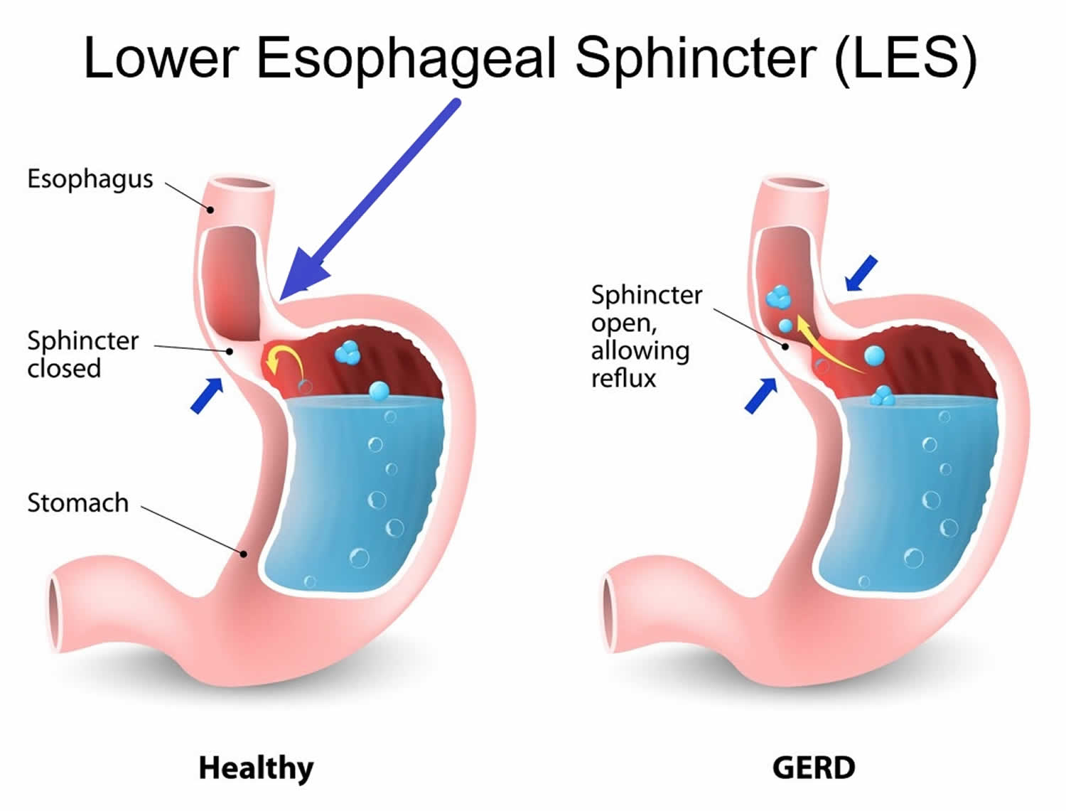 Baby Sphincter Development: Everything You Need to Know