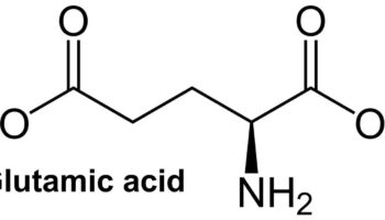 glutamic acid