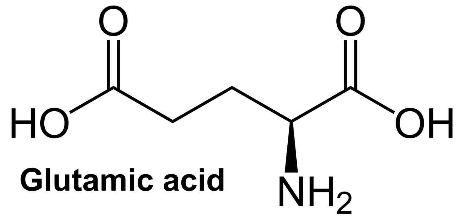 glutamic acid