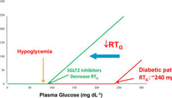 renal threshold for glucose
