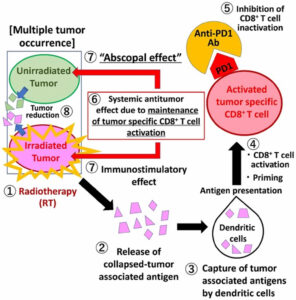 Abscopal effect