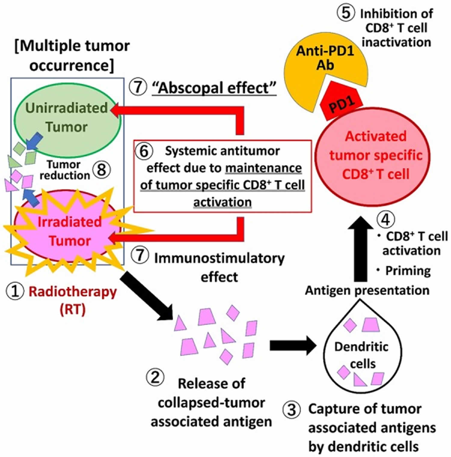 Abscopal effect