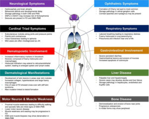 Farber disease, causes, symptoms, diagnosis, treatment & prognosis