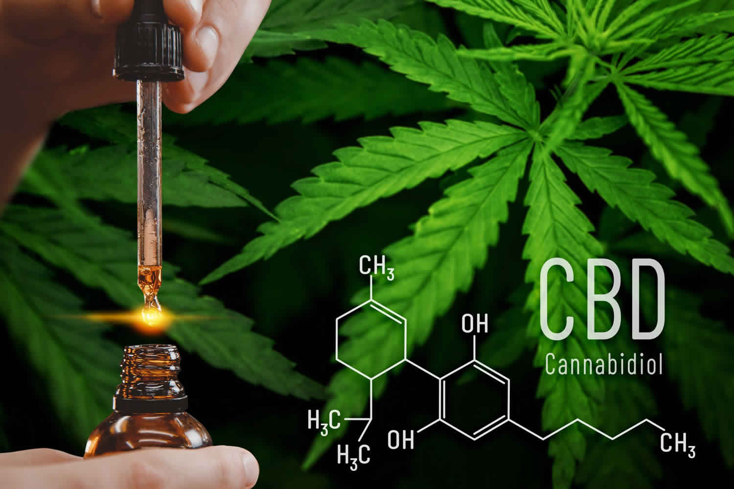 Cannabidiol function, uses, safety, side effects &amp; dosage