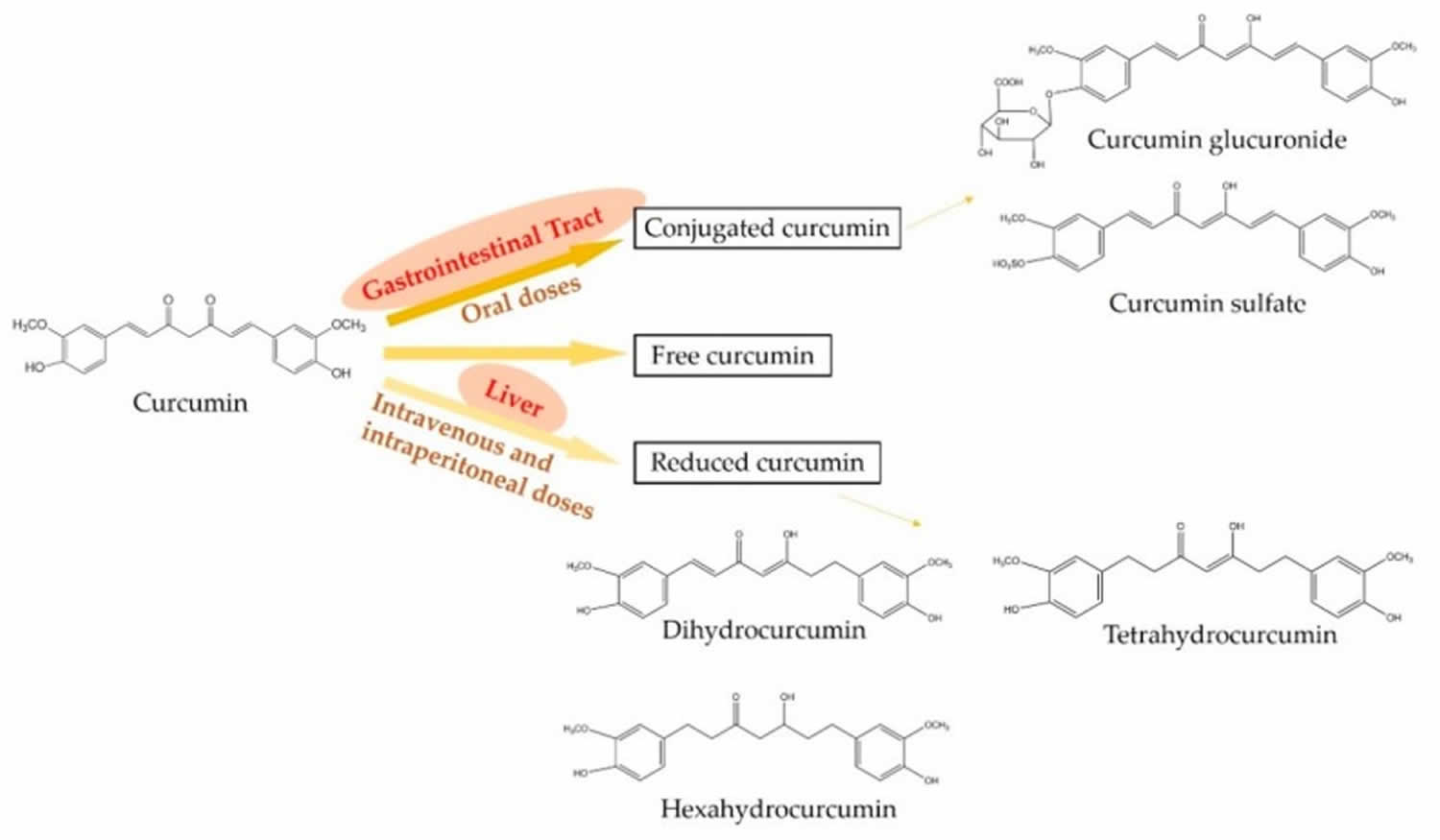 forms of curcumin