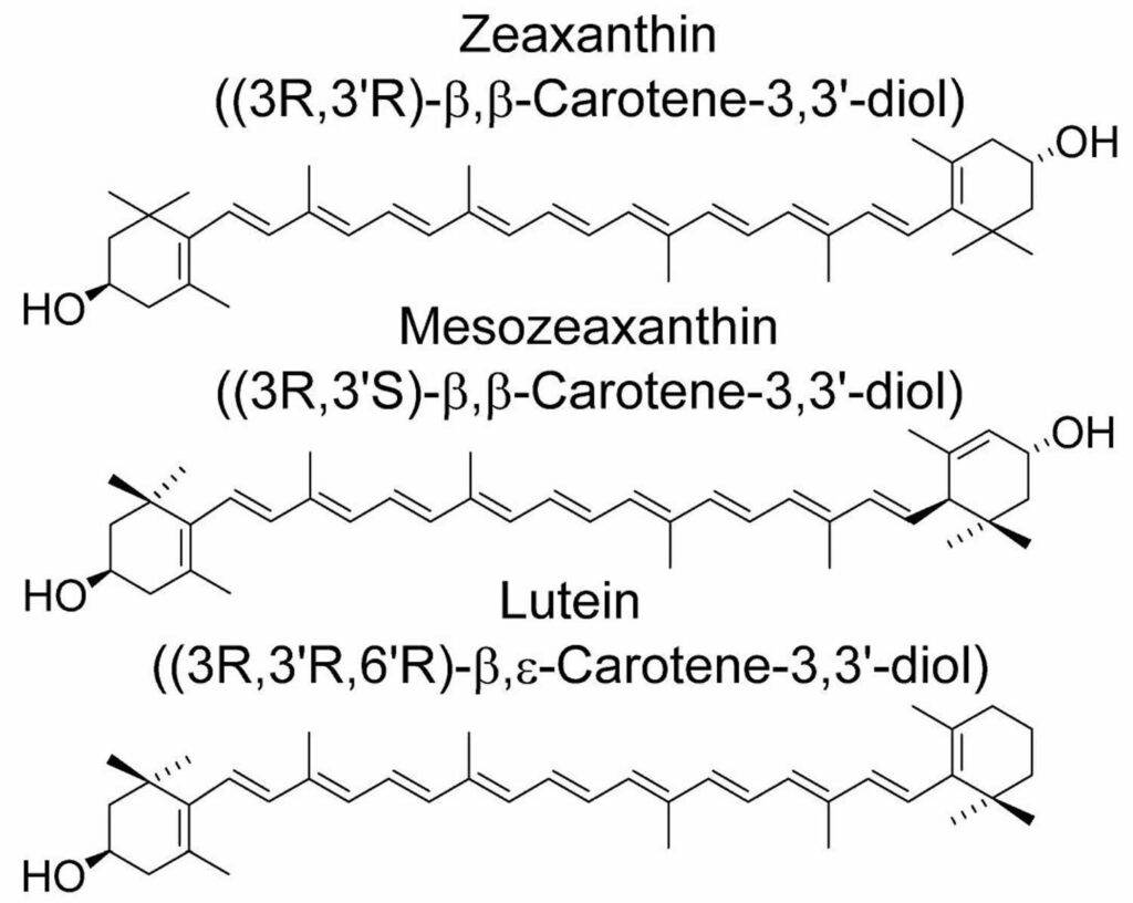 Zeaxanthin And Lutein Review, Food Sources, Benefits, Uses & Side Effects