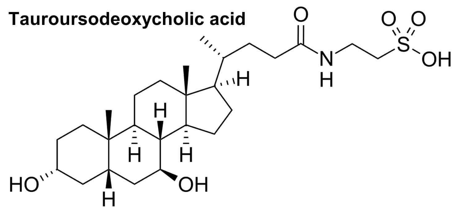 TUDCA review, benefits, uses, dosage & side effects