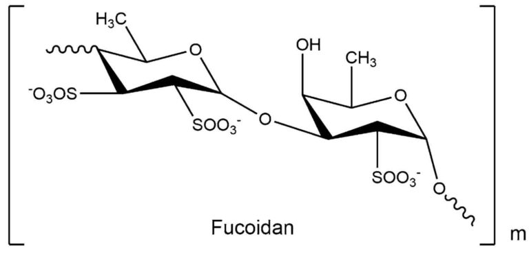 Fucoidan Review Sources Health Benefits Dosage And Side Effects