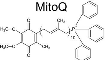 MitoQ