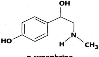 synephrine