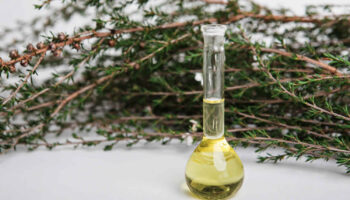 Manuka essential oil