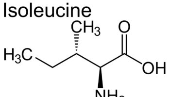 isoleucine
