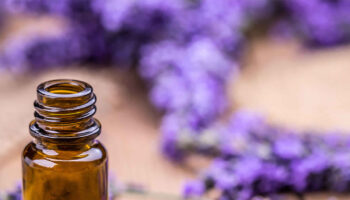 lavender-oil