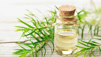 tea tree oil