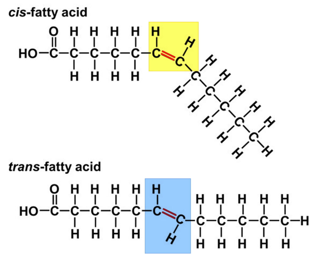 Healthy fats
