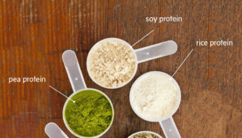 best protein powder for weight loss
