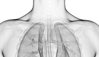 liver regeneration