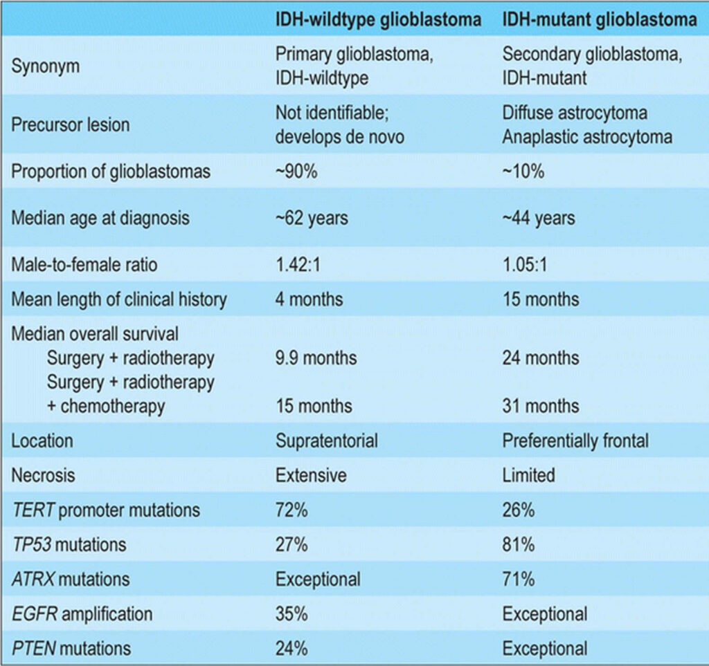 Glioblastoma, causes, signs, symptoms, diagnosis, treatment & prognosis