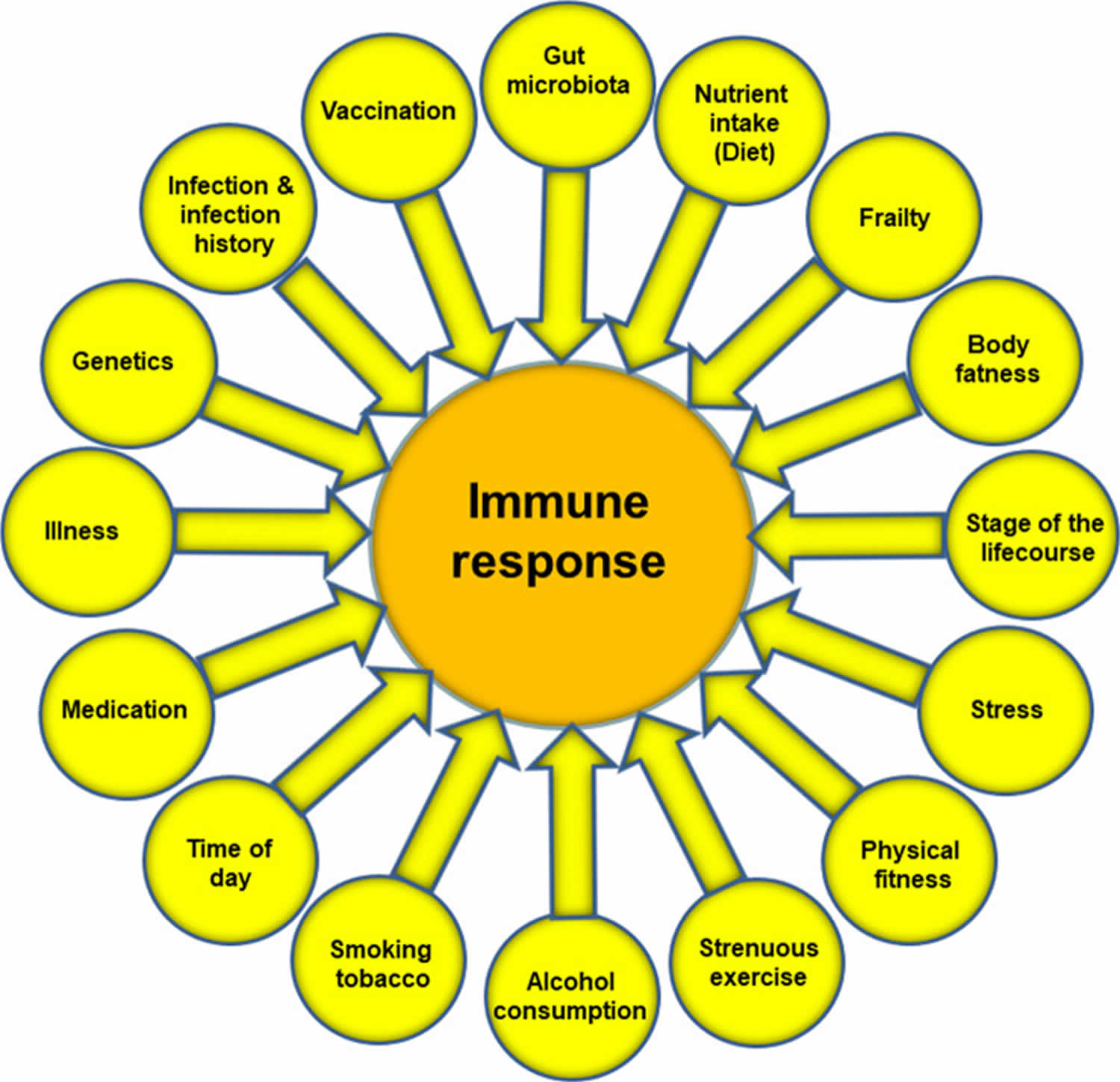 Factors that influence the immune response