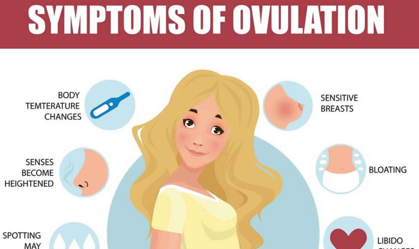 How to detect ovulation