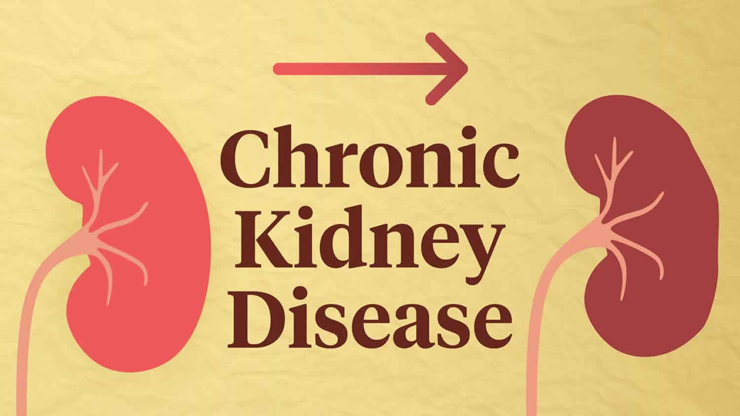 Chronic Kidney Disease Meaning In Bengali