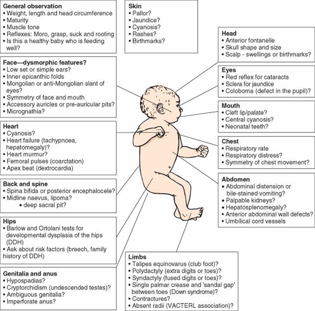 newborn-physical-assessment