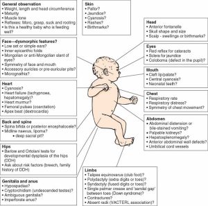 Newborn Physical Assessment