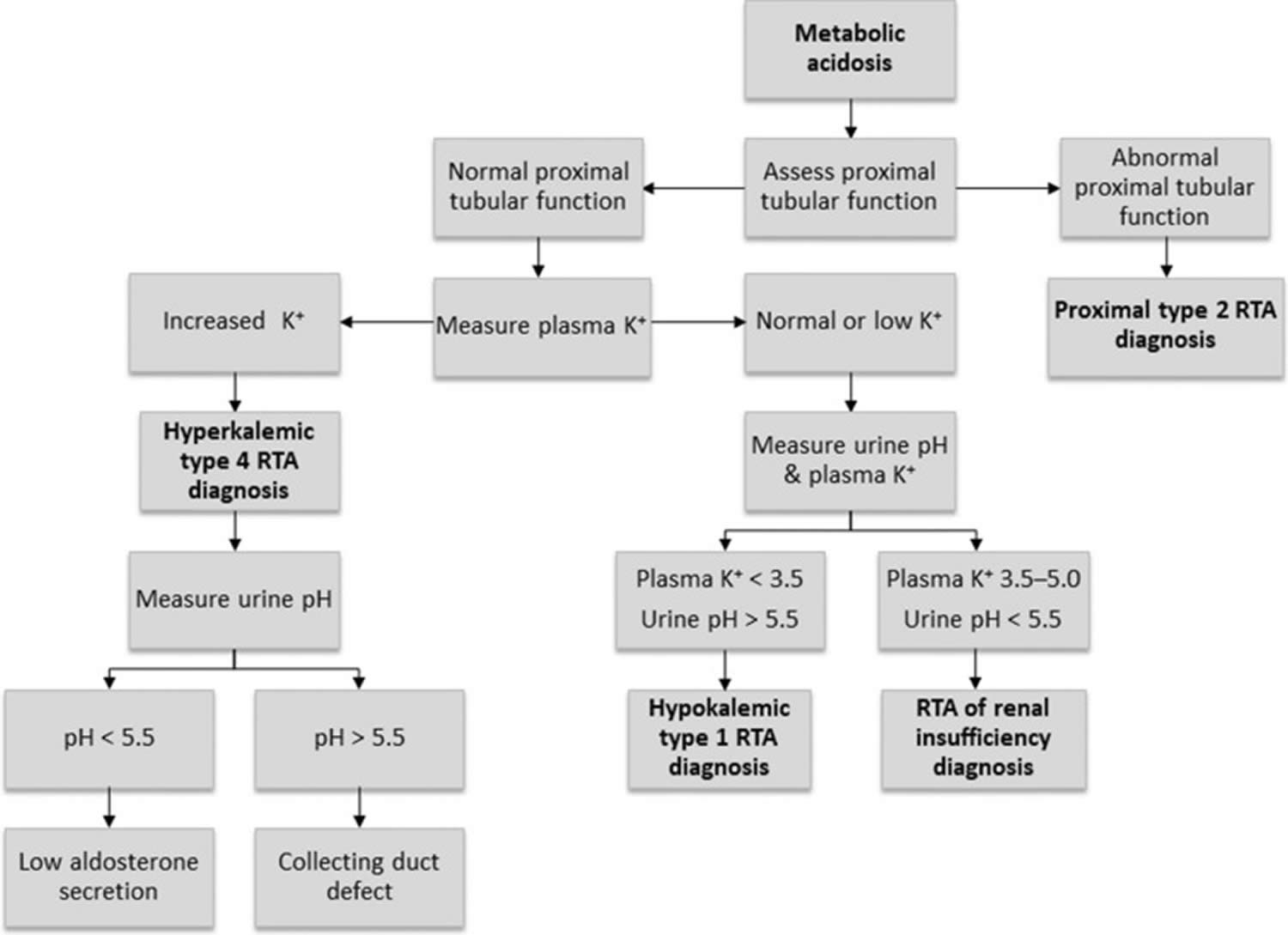renal tubular acidosis diagnostic algorithm