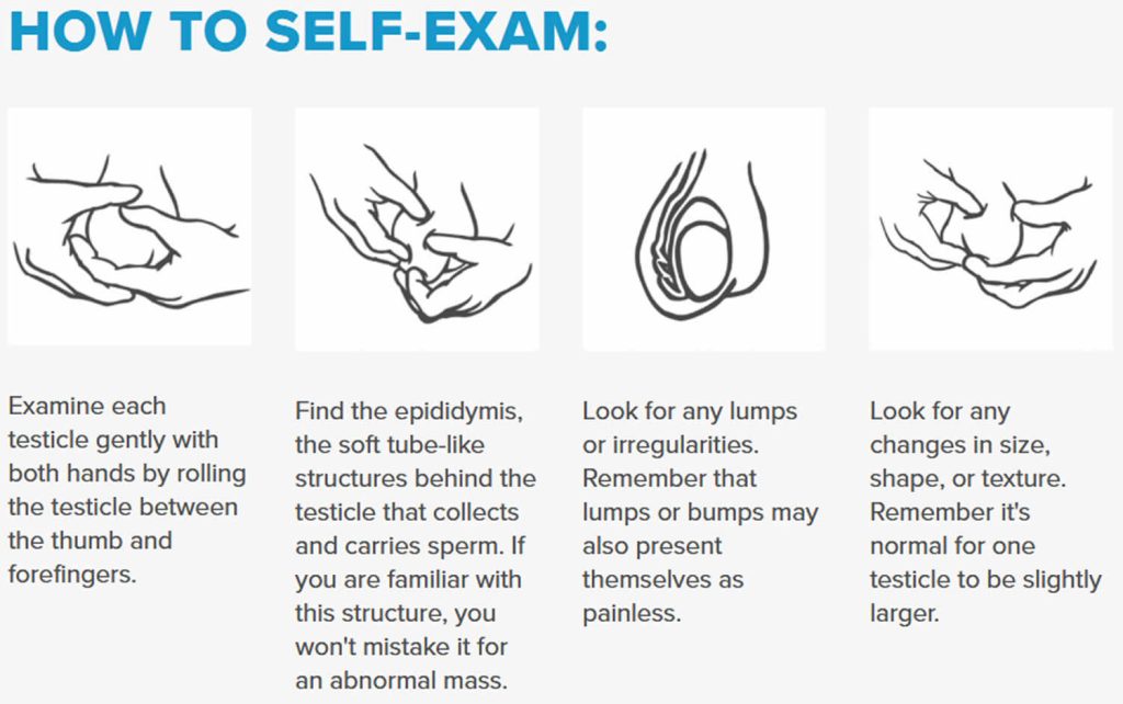 Testicular Self Exam How To Perform Testicle Self Check For Cancer
