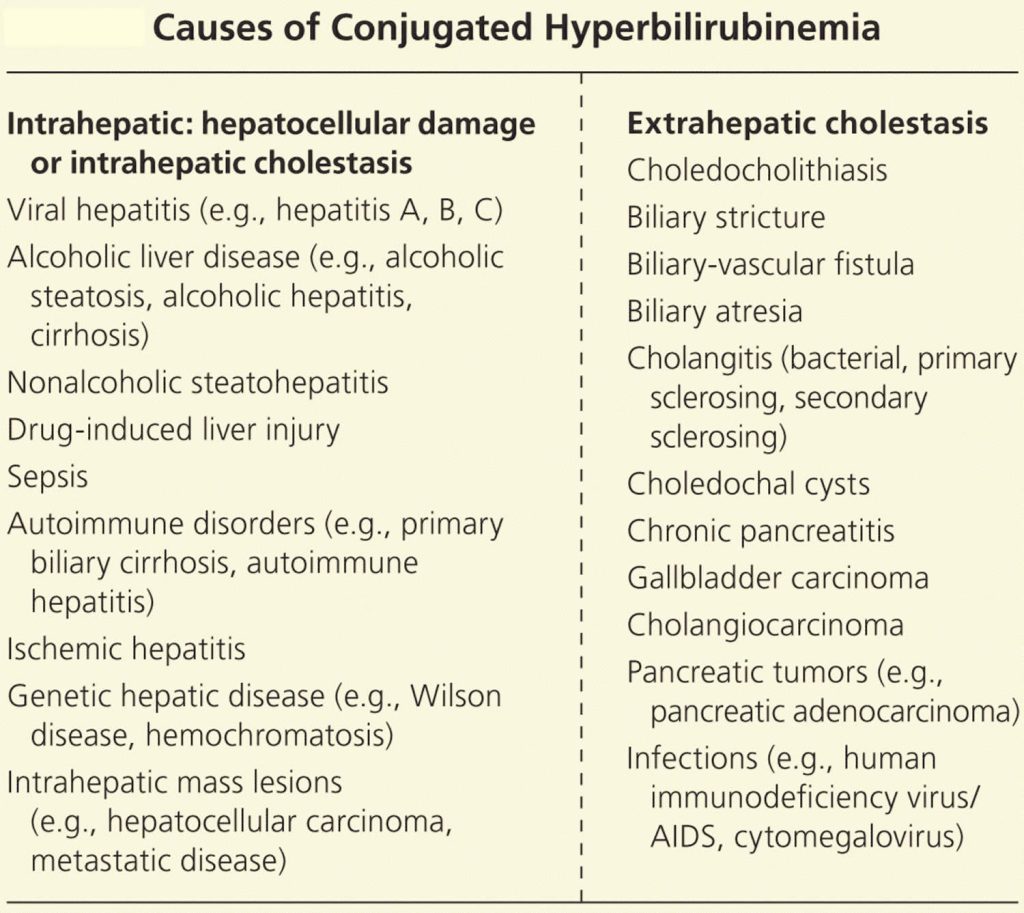 bilirubin-types-bilirubin-levels-chart-and-causes-of-high-bilirubin-levels